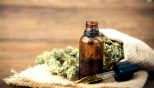 Cannabis légal : achat, soins et aides à la psychothérapie